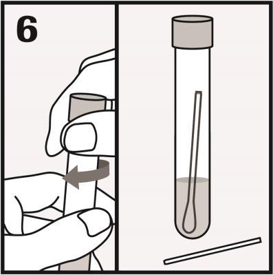 Discard the top portion of the swab.