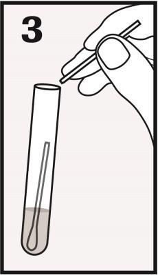 COLLECT : In one hand, hold the woven swab (Swab A) with the scoreline above your hand and insert the swab about 5 cm (2 inches) into the vaginal opening.