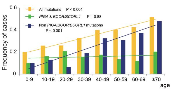 Retrospective from the UK From UK: looked at 150 pts with no evidence (by microscope) of MDS Screen for mutations ASXL1, DNMT3A, BCOR, TET2, MPL at least 19% AA pts had mutations Pts with mutations