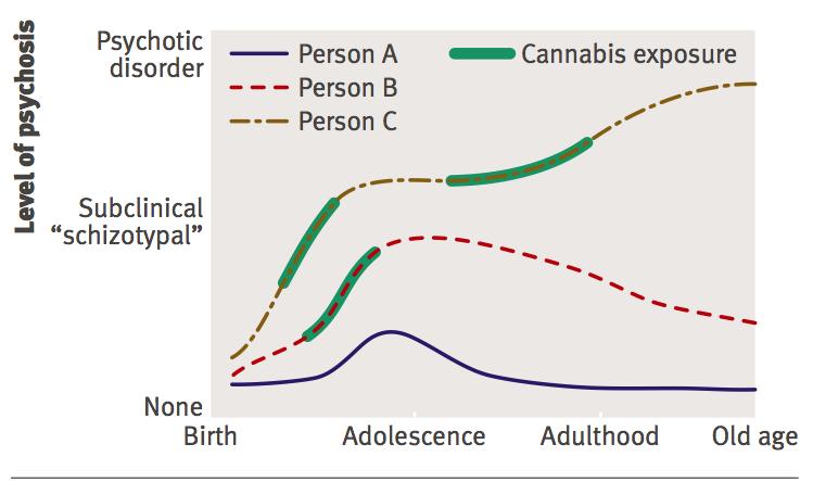 The Prognosis Enright 41 In the absence of known causes of schizophrenia, and as evidence indicates that cannabis may be a component of the sufficient cause of the illness, studies have begun