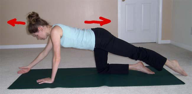 5. Opposite Arm and Leg Lifts (Bird-Dog) Starting position Stand on all fours with your knees as wide as your hips and your wrists directly under your shoulders.