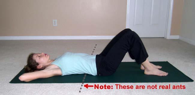 6. Imprinting Starting position Lie down on your back (supine position) with your knees bent at a comfortable angle, your feet standing flat on