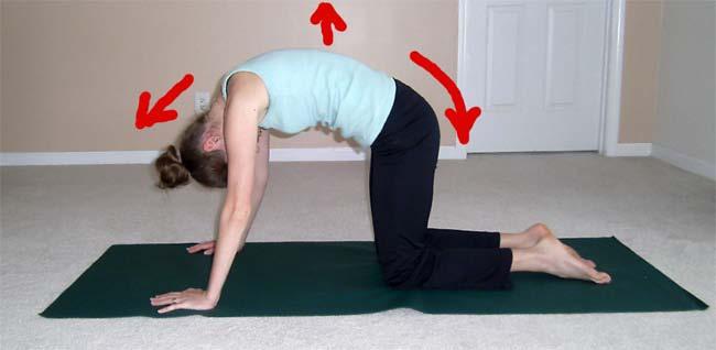 1. Cat-Cow stretch Starting position Stand on all fours with your knees as wide as your hips and your wrists directly under your shoulders.