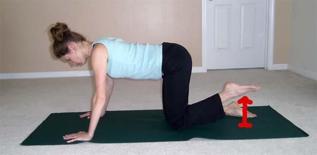 2. Tail Wag Starting position Stand on all fours with your knees as wide as your hips and your wrists directly under your shoulders.