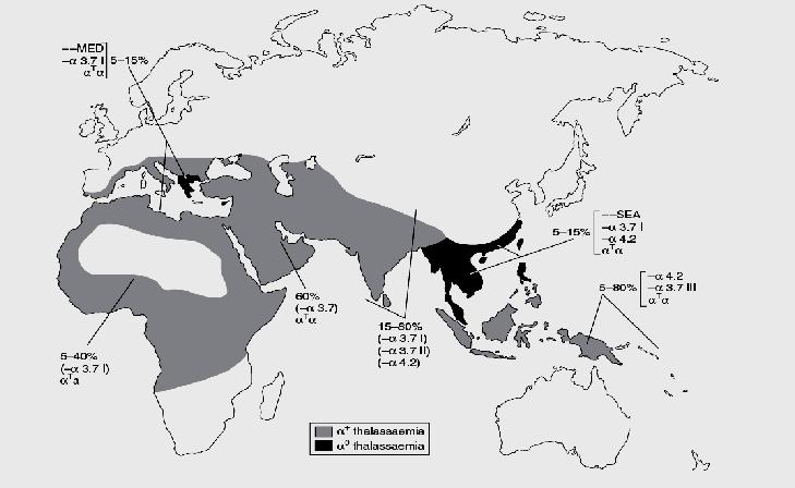 While α + defects are widely distributed, α 0 defects are only significantly prevalent in SE Asia