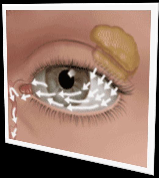 Where do Tears Come From & How do they Leave the Eye?