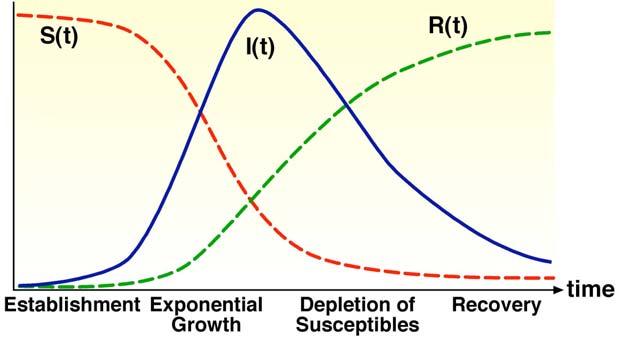 Figure 2. The phases of an epidemic [1, 3].