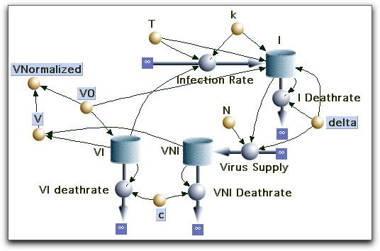 This model has been used to rationalize treatment of HIV infections; in particular, why it is desirable to treat patients with antiviral drugs as aggressively as possible at the early stages of