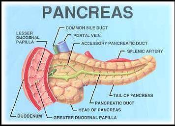 Pancreatic Cancer Seminar San Francisco, CA Hereditary Aspects of Pancreatic Cancer Genetic Risk Assessment and Counseling for Familial Pancreatic Cancer February 3, 2016 Amie Blanco, MS, CGC Gordon