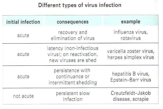 Figure-2 Viruses attach to cells with via specific receptors and this partly determines which cell types become infected.