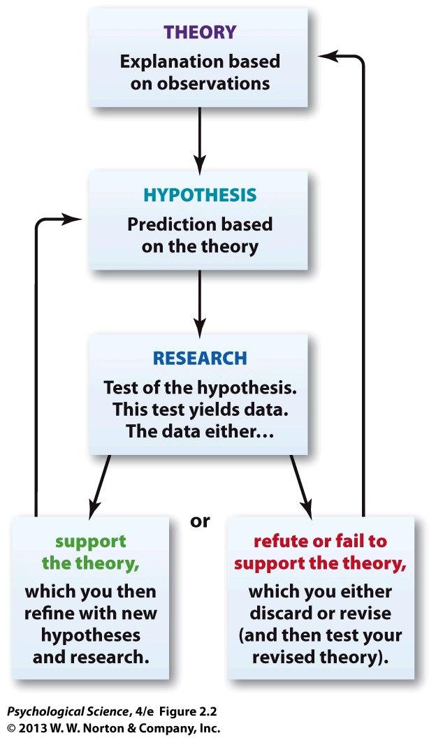Theory A model of interconnected ideas or concepts that explains what is observed and makes predictions about future events. Theories are based on empirical evidence.