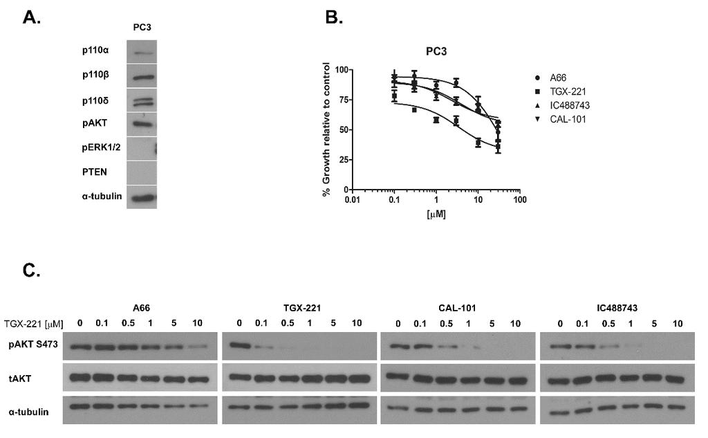 Figure 2.6. Basal class IA PI3K expression, proliferation and pharmacodynamic responses to isoform-selective inhibitors in PTEN-null prostate cancer cell line PC3.
