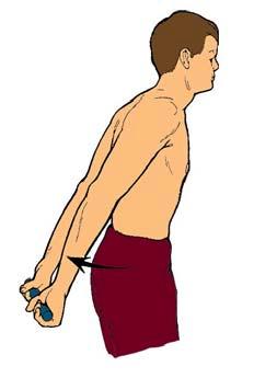 Exercise no. 4) Making sure that you are standing upright, take hold of the rod or pole with both hands behind your back.