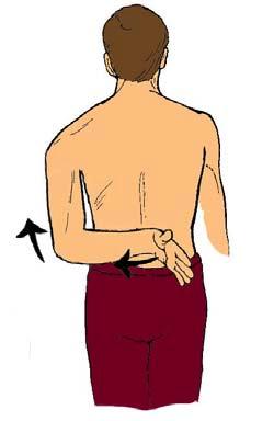 Exercise no. 8) Whilst standing, bend the elbow of the sore arm behind your back, keeping your forearm at waist height.