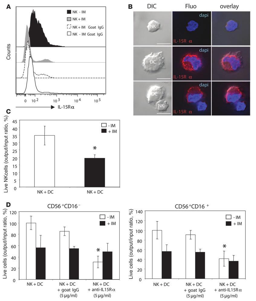 Figure 9 The expression of IL-15Rα on NK cells correlated with their survival during DC/NK cell interactions.