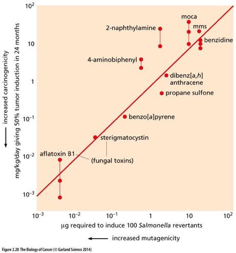Mutagenic versus Carcinogenic potency: