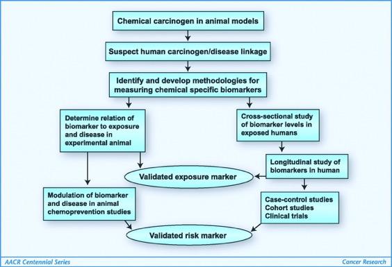 A modified molecular epidemiologic approach for validating causal relationships between carcinogen exposure and