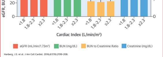 001) Mullens, JACC, 2009 Cardiac Index is Not
