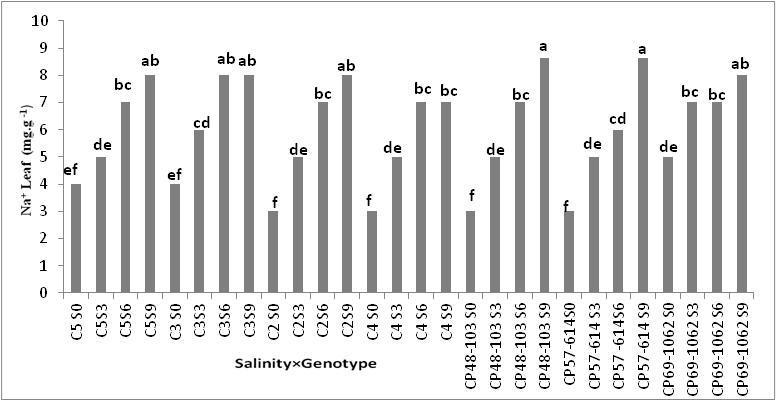 salinity has been reported by many researchers like Hirschi (2004). Baibordi (2010) reported that the decrease of sodium in resistant varieties was more than sensitive varieties to salinity.