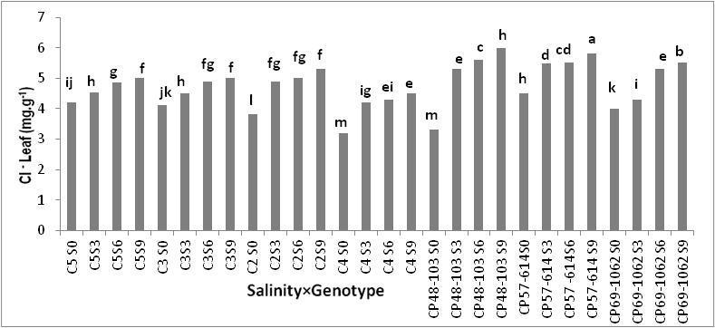 In their studies, they showed that in spite of the linear increase of sodium concentration through the increase of salinity, tolerant genotypes limited the entrance of sodium ion to the plant.