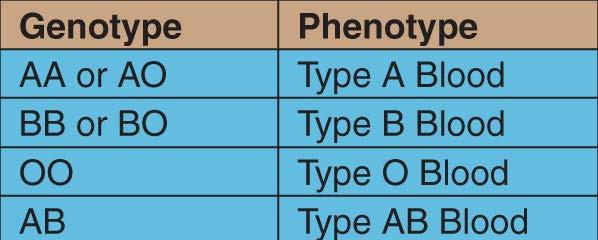 Three Alleles Give