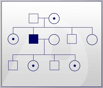 LT 6 I can analyze a pedigree chart to determine mode of inheritance for a given trait.