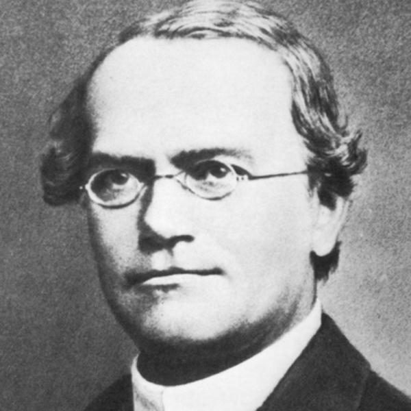 Who is Gregor Mendel? a.
