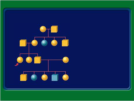Pedigrees illustrate inheritance Each horizontal row of circles and squares in a pedigree 5 designates a generation, with? the most recent generation V shown at the 5 bottom.