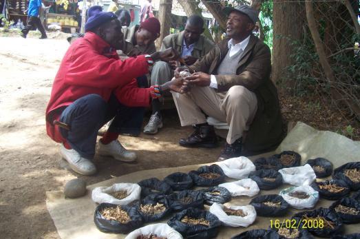 The practice of exploiting perennial plant parts in Mukogodo forest, such as roots of relatively slow growing woody species, can result in a decline in both, the size and distributions of