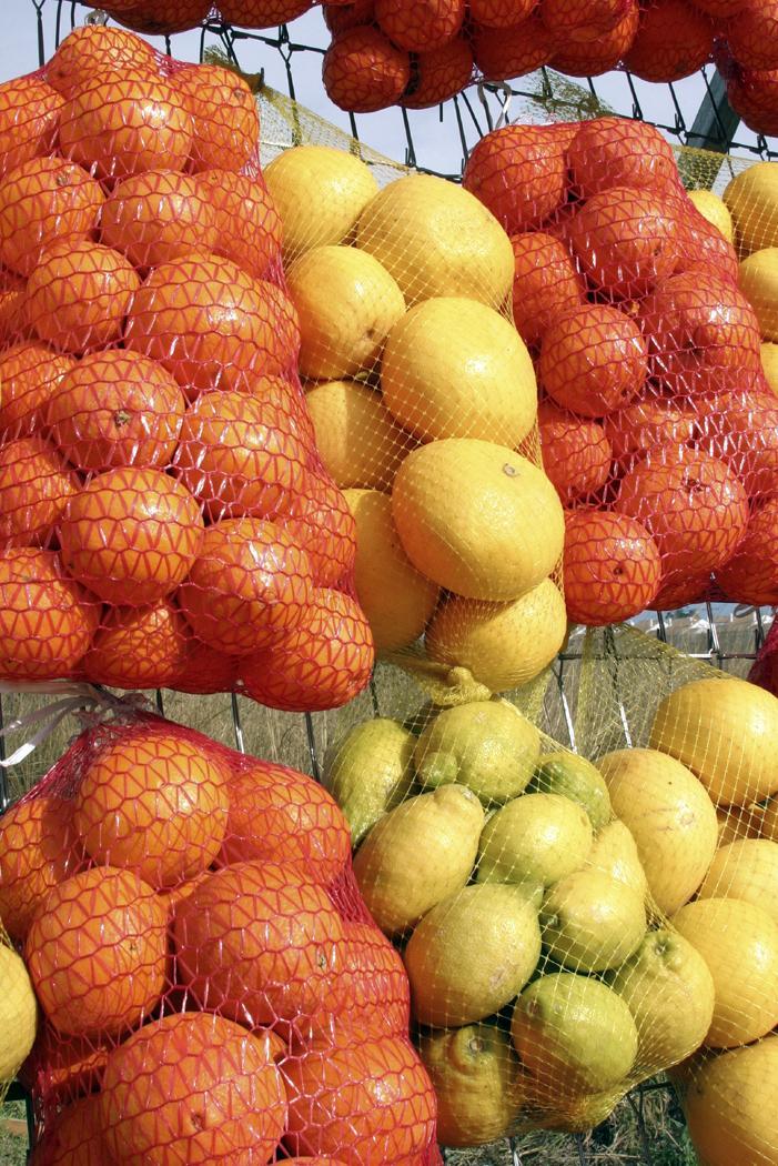 Citrus Fruits Phytochemical found: