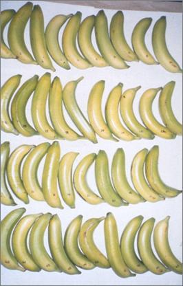 Bananas coated with Whey