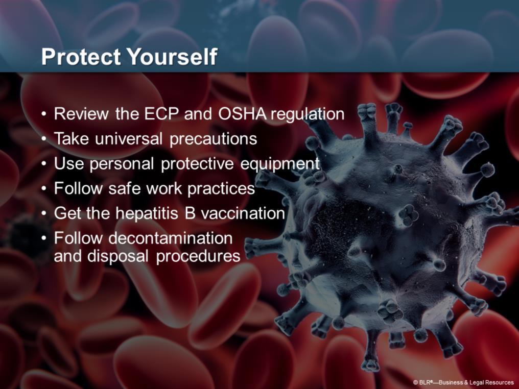 Here are the basic ways to protect yourself against transmission of bloodborne pathogens; we will be discussing these in more detail as this session continues.