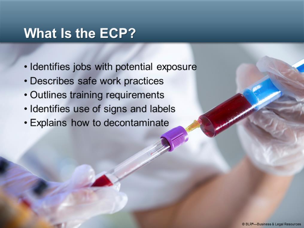 What is the ECP, or Exposure Control Plan?