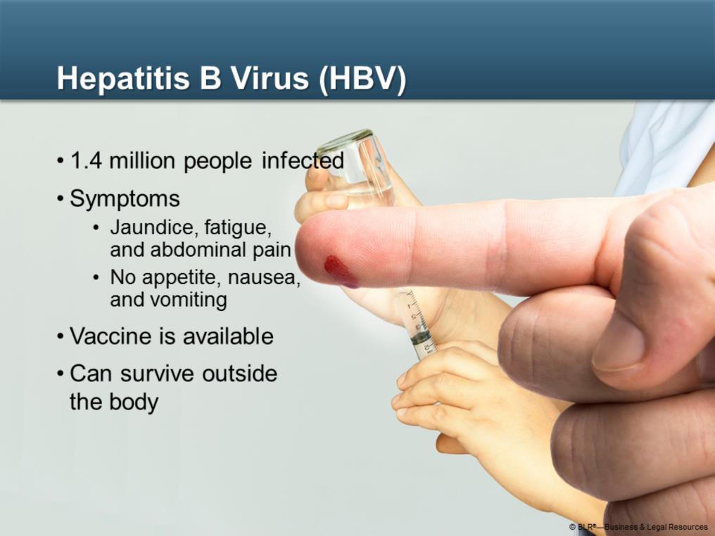 Key information about the hepatitis B, or HBV, virus includes: More than 1.4 million people nationwide are infected with hepatitis B.