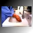 HANDWASHING The most important work practice control is handwashing.