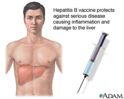 HEPATITIS B VIRUS (HBV) Hepatitis means inflammation of the liver. Each year, more than 5,000 people die from chronic liver disease and liver cancer linked to HBV.