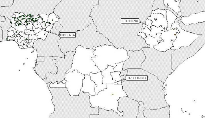 Circulating Vaccine-derived Polioviruses Rolling 6 months 27 Nov 2008 26 May 2009 NIE - cvdpv2 (73 cases) DRC - cvdpv2 (1 case) ETH - cvdpv2 (2 cases) 24 cvdpv2 monthly distribution 22 20 NIE ETH DRC