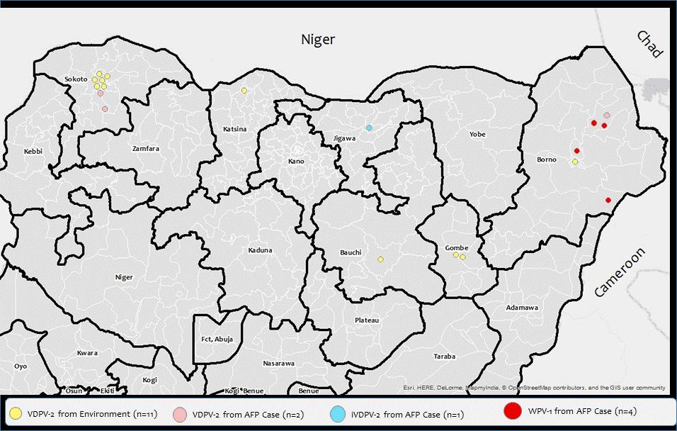 WPV1 and VDPV2 in Nigeria, 2016-2017 2016: 4 WPV1 from Borno.