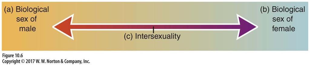 Intersexuality When people do not clearly fall into the binary of being biologically male or biologically female, they are experiencing intersexuality.