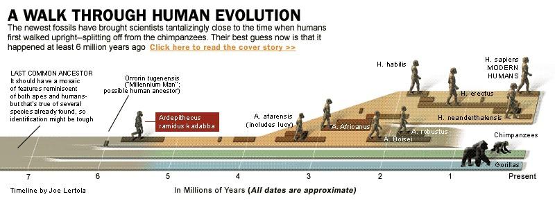 Over periods of millions of years different populations of hominids co-existed primarily throughout Africa
