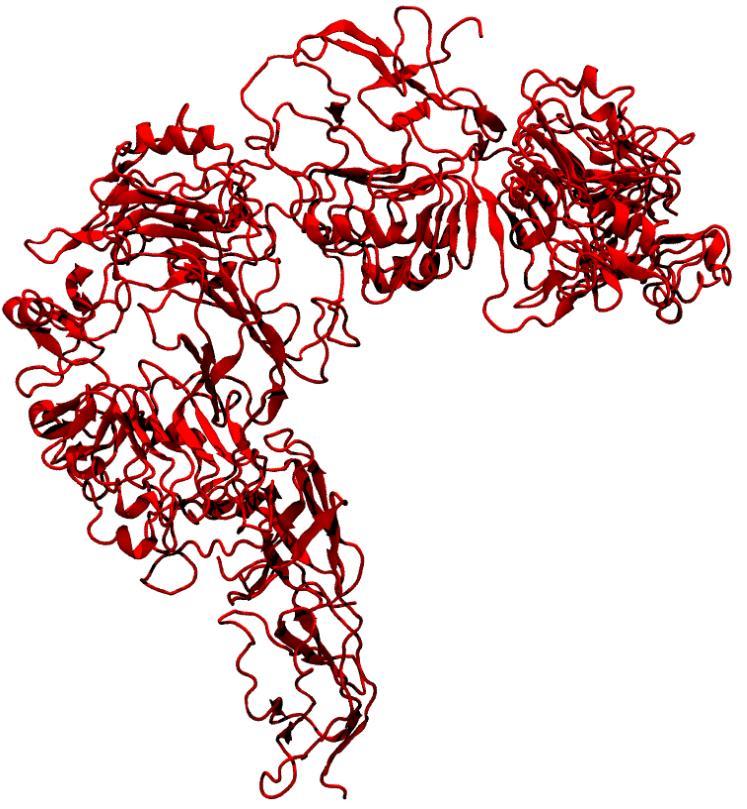 N-glycan chains Protein synthesis Small and simple protein e.g. insulin (51 AA) Ready to use or few maturation steps Many maturations steps needed!