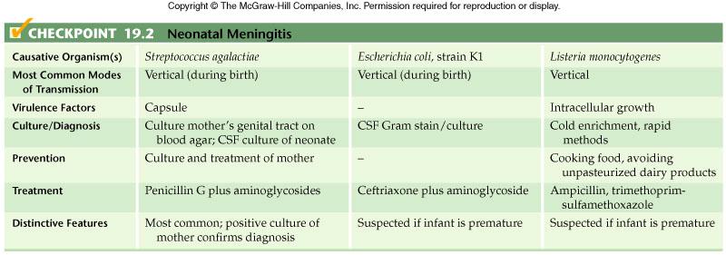 Features of neonatal meningitis.