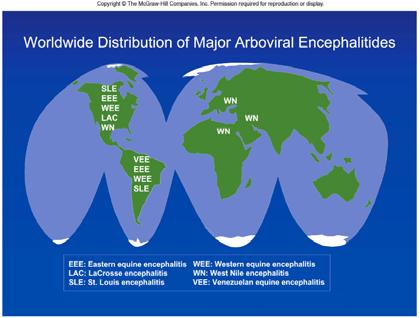 Arboviral encephalitides is prevalent worldwide.