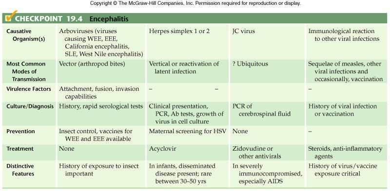 virus 25 26 Features of acute viral encephalitis.