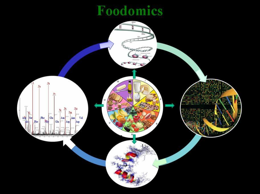 Foodomics Group Application of advanced analytical methodologies to study the food/health relationship Development of green extraction