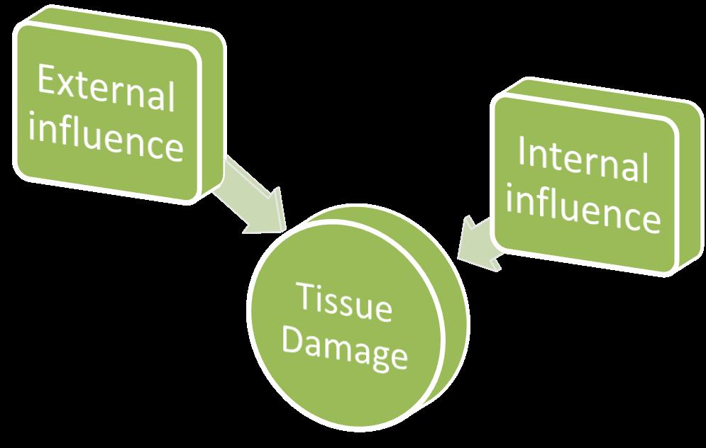 Tissue Damage Wound: tissue integrity comprimised What are the 2 main types of tissue damage?