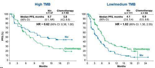 TMB as Biomarker for Response to 1 st -line Opdivo Retrospective study of CheckMate 026 shows TMB as a better biomarker in NSCLC patient stratification other than PD-L1 IHC Impact of