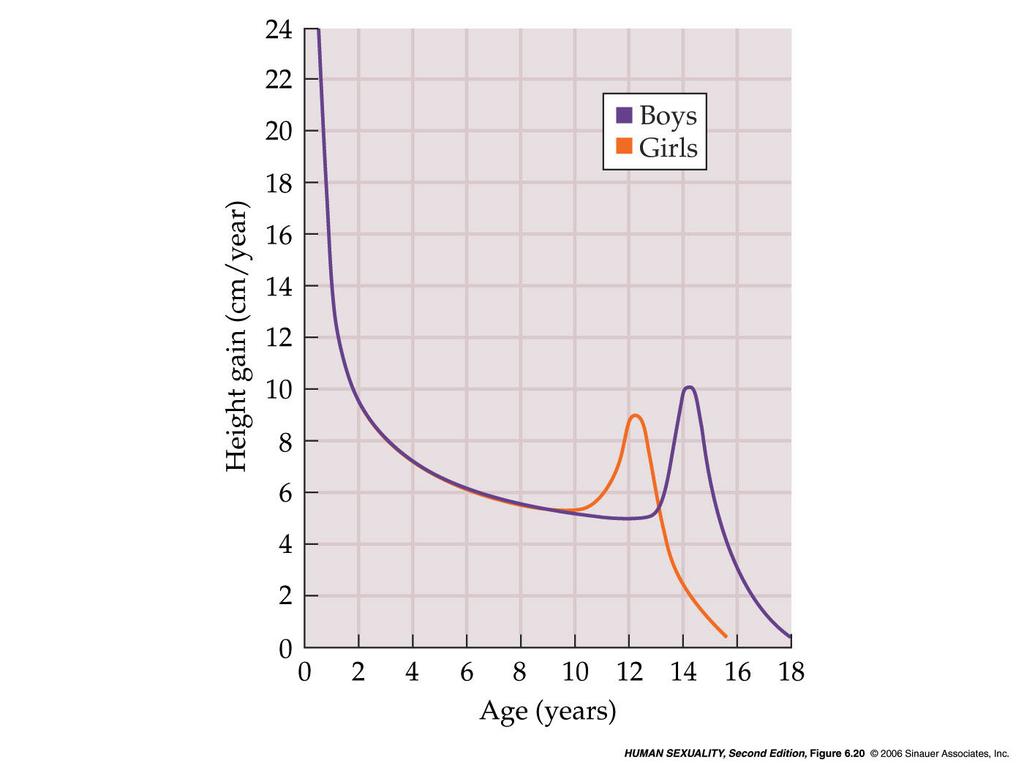 6 Puberty Marks Sexual Maturation During early infancy, the levels of circulating gonadotropins (LH and FSH) are high in both sexes, and testosterone is high in infant boys until from 6 to 9 months