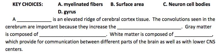 I can compare and contrast spinal and cranial nerves. Explain the structure of a nerve. Explain the difference between white matter and gray matter.