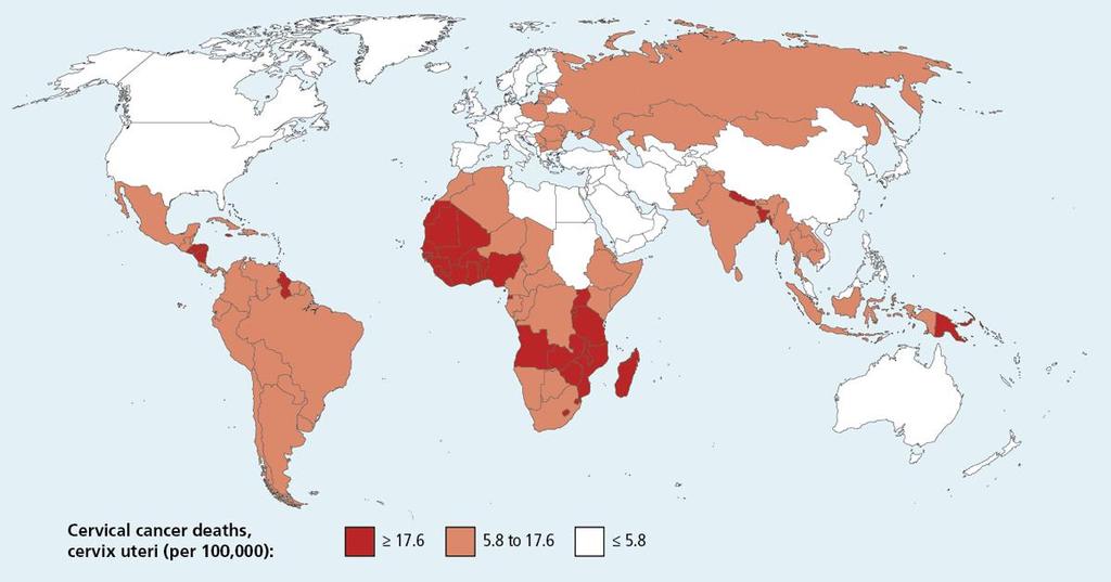 Current cervical cancer mortality Source: Globocan 2008, International Agency for Research